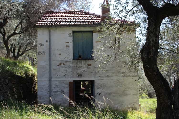 Old Country House on Large Land Plot - Renovation Project_Topos Real Estate_4