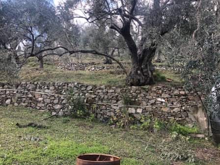 Old Farm House with Land - for Renovation_Topos Real Estate_32756_02