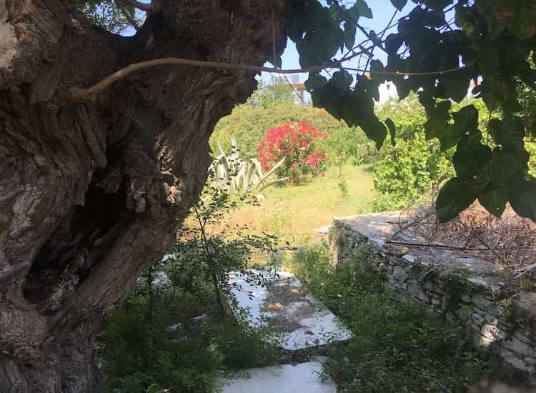 Land with Building for Sale in Skopelos Town-Topos Real Estate-03