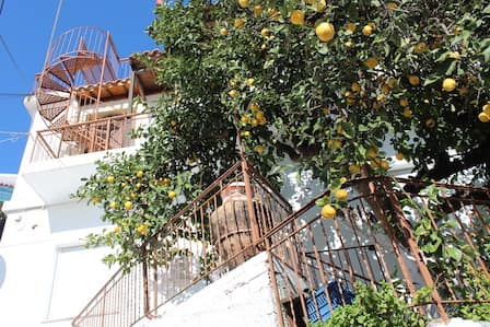 Skopelos Town House-Multi-Level-32584-Topos Real Estate