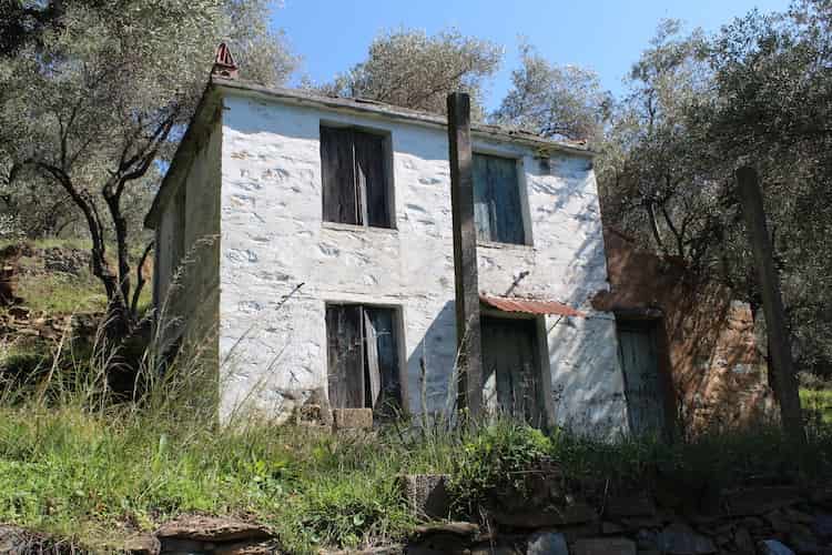 Old Country House on Large Land Plot - Renovation Project_Topos Real Estate_3