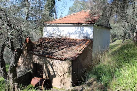 Old Country House on Large Land Plot - Renovation Project_Topos Real Estate_7