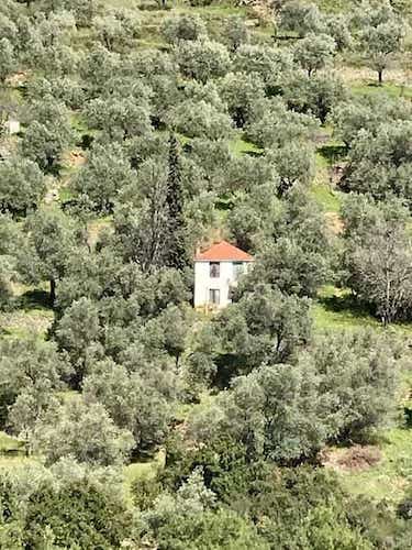 Old Country House on Large Land Plot - Renovation Project_Topos Real Estate_8