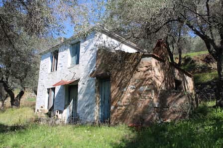 Old Country House on Large Land Plot - Renovation Project_Topos Real Estate