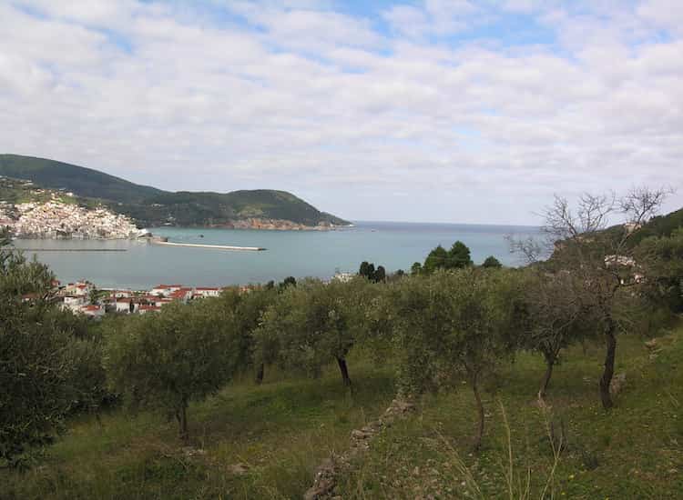Land-Plot for Sale in Skopelos Town-Topos Real Estate_04