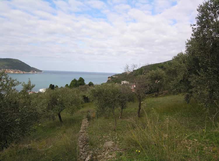 Land-Plot for Sale in Skopelos Town-Topos Real Estate_05