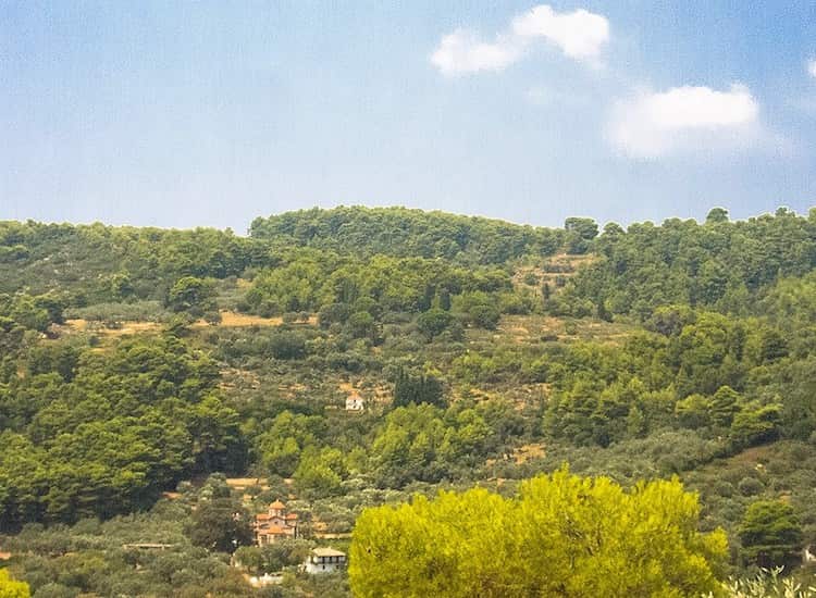 Large Land-Plot within Skopelos Boundaries -ToposRealEstate_2