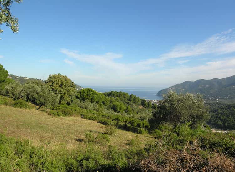 Large Land-Plot within Skopelos Boundaries -ToposRealEstate_3