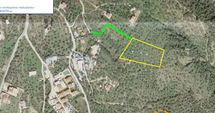 Olive Grove with Farmhouse - Topos Real Estate-8