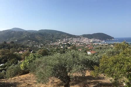 Olive Grove with Farmhouse - Skopelos Views