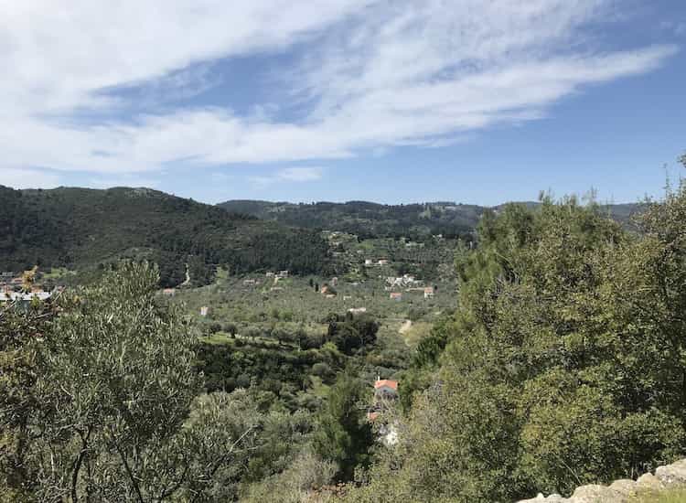 Olive Grove with Skopelos Views-Topos Real Estate-32030_3