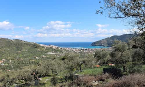 Beautiful Olive Grove with Panoramic Views of Skopelos Bay