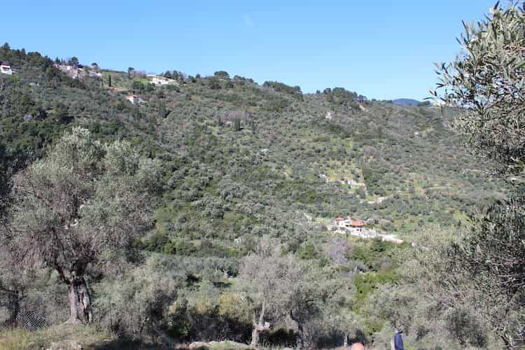 Beautiful Olive Grove with Panoramic Views of Skopelos Bay_Topos Real Estate_05