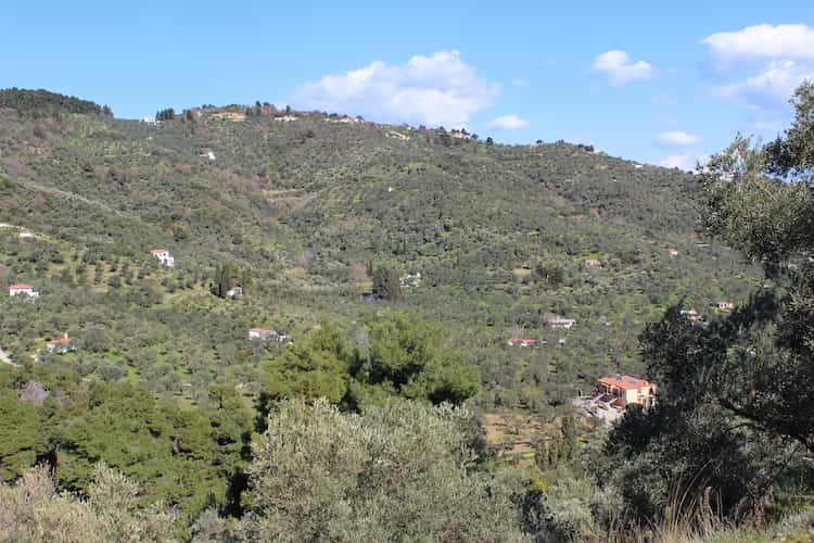 Beautiful Olive Grove with Panoramic Views of Skopelos Bay_Topos Real Estate_07