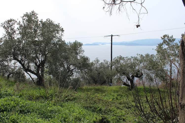 Land with Building Potential and amazing views_Topos Real Estate_02