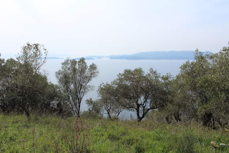 Land with Building Potential and amazing views_Topos Real Estate_08
