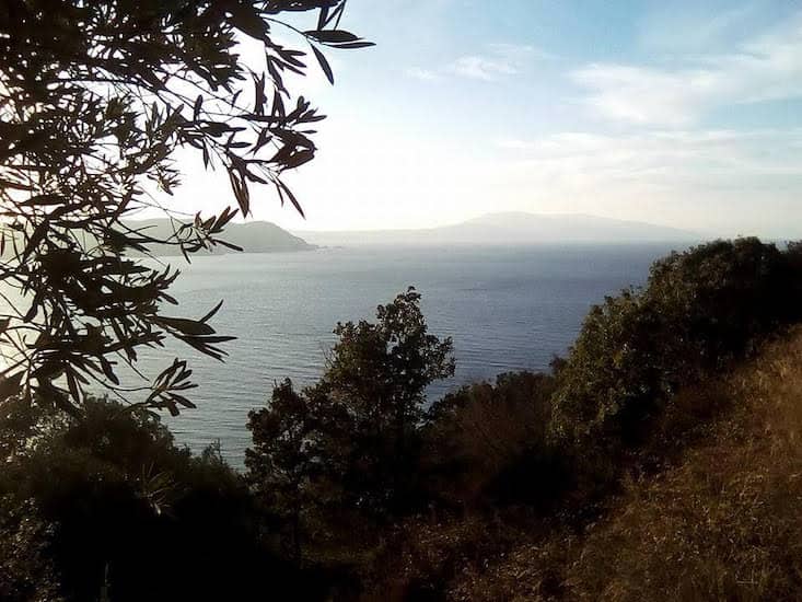 Land with Great Views - Building Potential_Topos Real Estate_02
