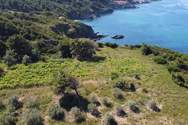 Stunning Land for Sale with Access to 2 Beaches_Topos Real Estate_05