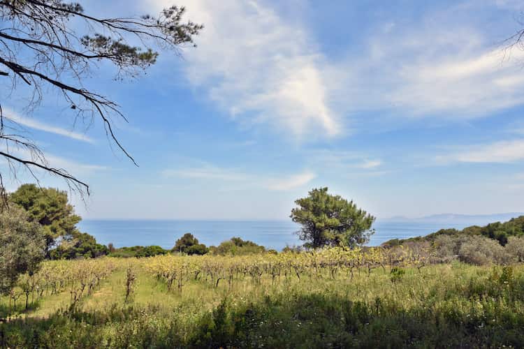 Stunning Land for Sale with Access to 2 Beaches_Topos Real Estate_07