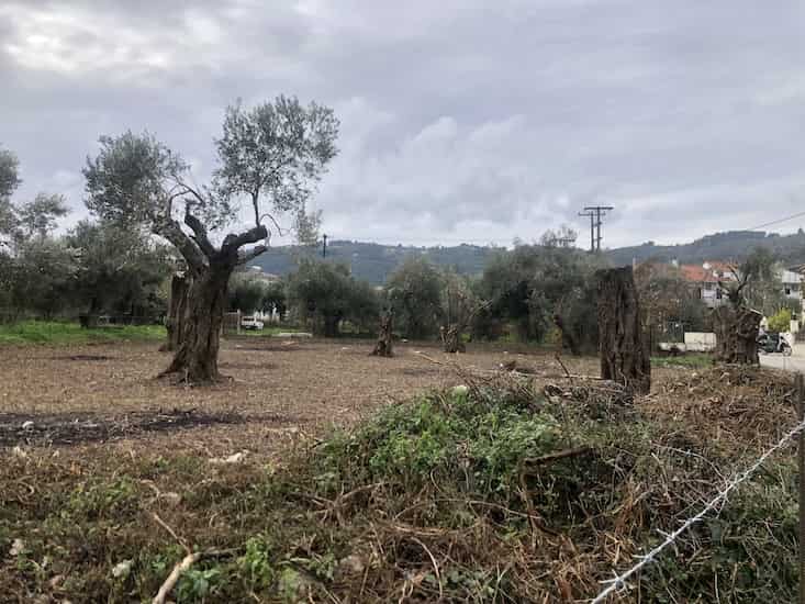 Olive Grove for Sale in Skopelos Town_Topos RealEstate_32059_06