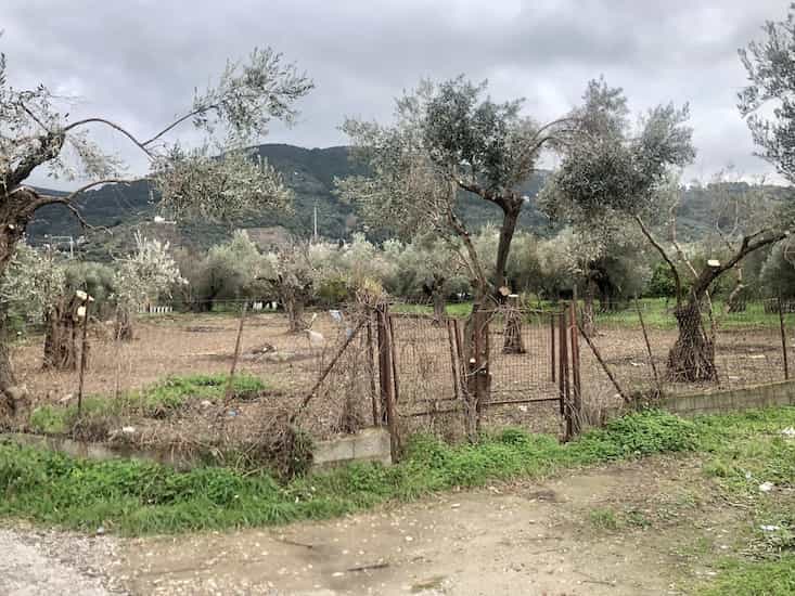 Olive Grove for Sale in Skopelos Town_Topos RealEstate_32059_10