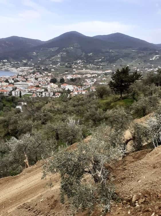 Land-Plot with Building Permission - Above Skopelos Town_Topos Real Estate_3207500002