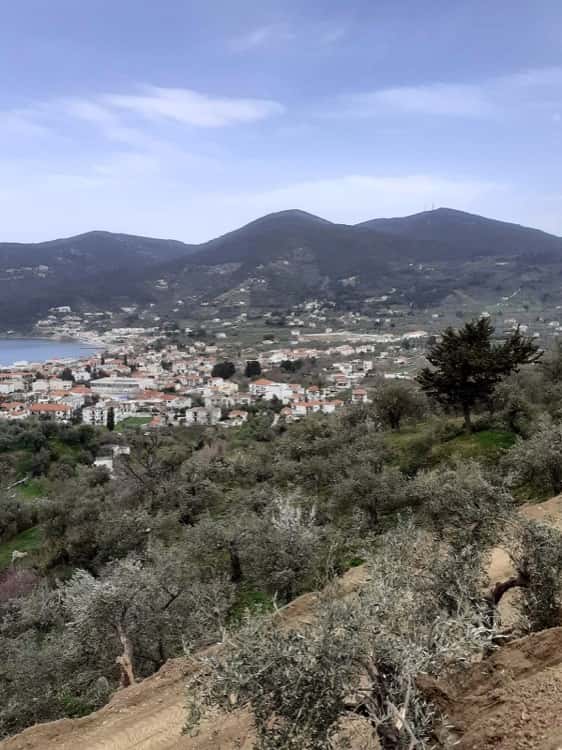 Land-Plot with Building Permission - Above Skopelos Town_Topos Real Estate_3207500003