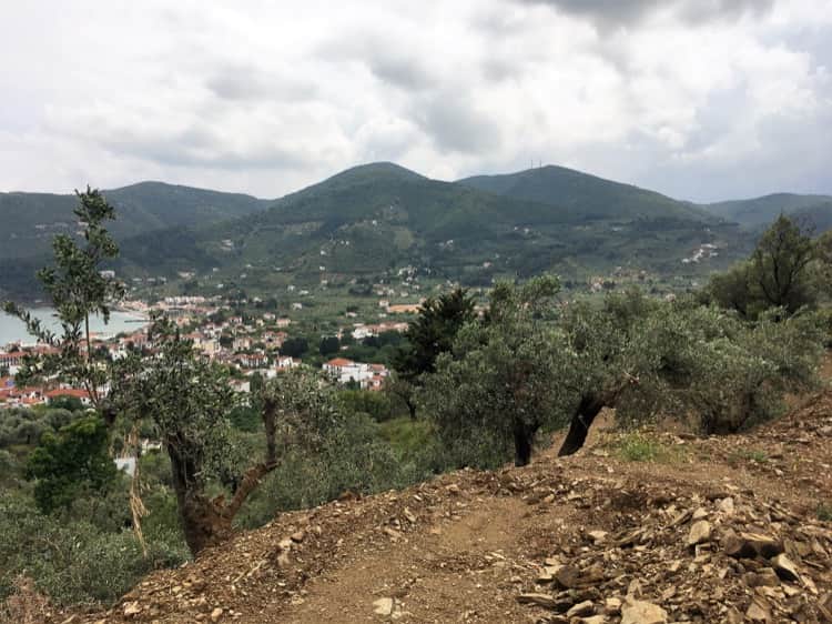 Land-Plot with Building Permission - Above Skopelos Town_Topos Real Estate_3207500005