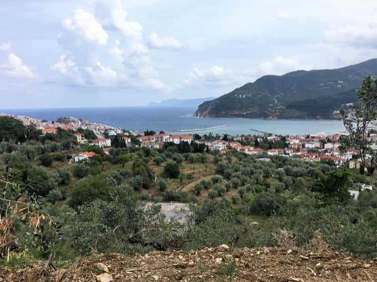 Land-Plot with Building Permission - Above Skopelos Town_Topos Real Estate_3207500006