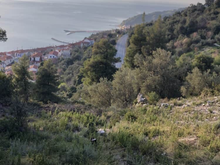 Land for Sale - West Skopelos - Panoramic Views of Sea_3206900003