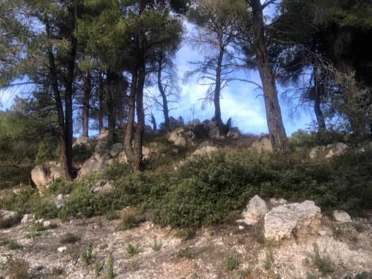 Land for Sale - West Skopelos - Panoramic Views of Sea_3206900005