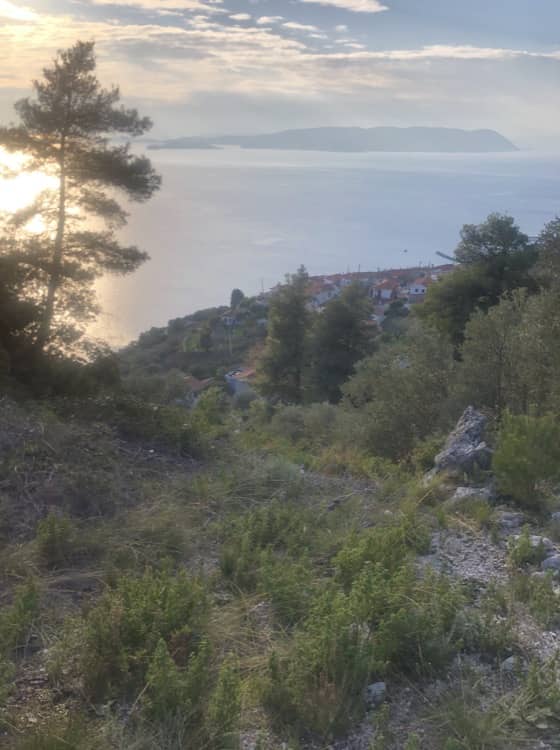 Land for Sale - West Skopelos - Panoramic Views of Sea_3206900006