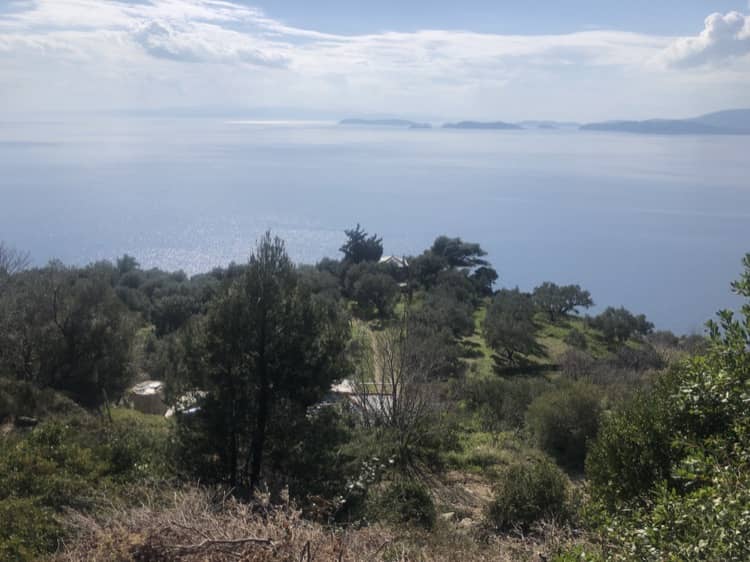 Land with Unparalleled Views-Sunset-Great Commercial Use_Topos Real Estate_32073_00006