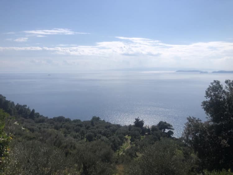 Land with Unparalleled Views-Sunset-Great Commercial Use_Topos Real Estate_32073_00007