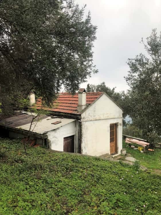Old Farmhouse on Olive Grove with Sea Views_ToposRealEstate_32071_00009