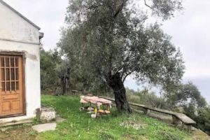 Old Farmhouse on Olive Grove with Sea Views_Topos Real Estate_32071