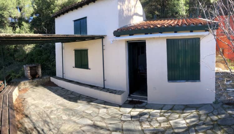 Two Country Houses close to Skopelos Town_Topos Real Estate_32076_00002