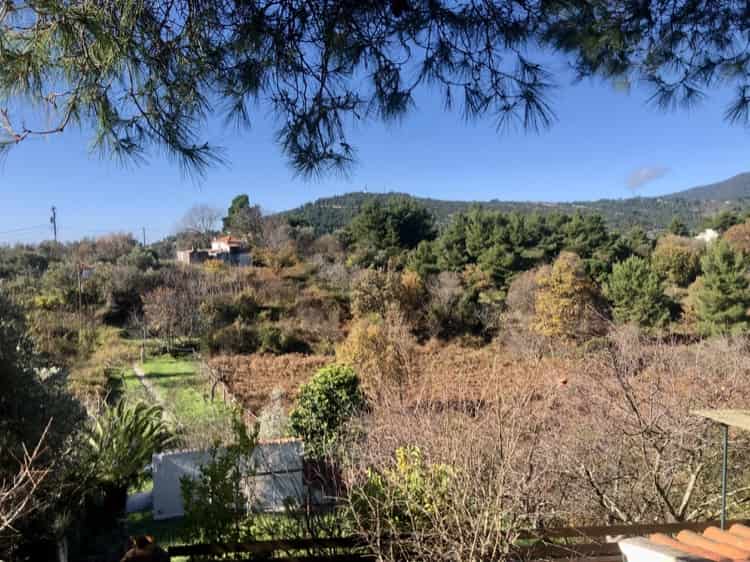 Two Country Houses close to Skopelos Town_Topos Real Estate_32076_00008