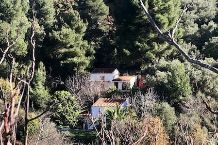Two Country Houses close to Skopelos Town