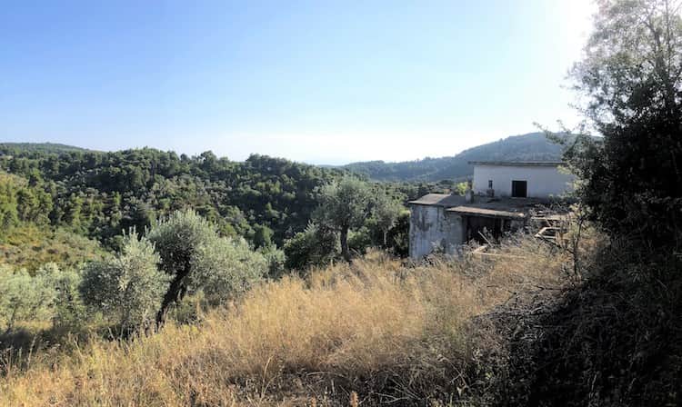 Farm House with Large Plot Land - Great Views_ToposRealEstate_3210800003