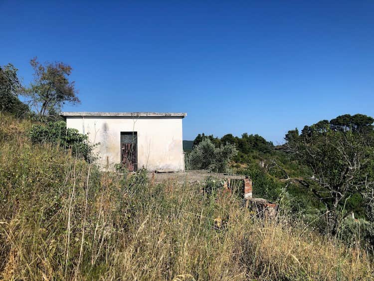 Farm House with Large Plot Land - Great Views_ToposRealEstate_3210800006