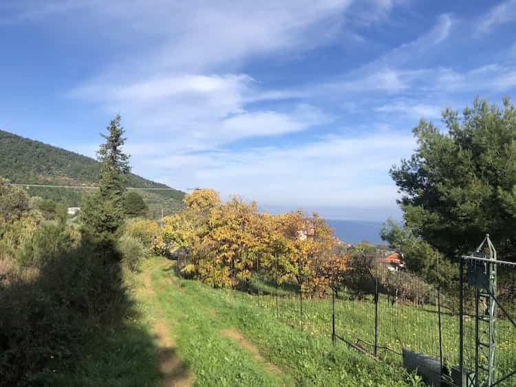 Land Plot with License to Build - Near Skopelos Town_ToposRealEstate_32114_00004