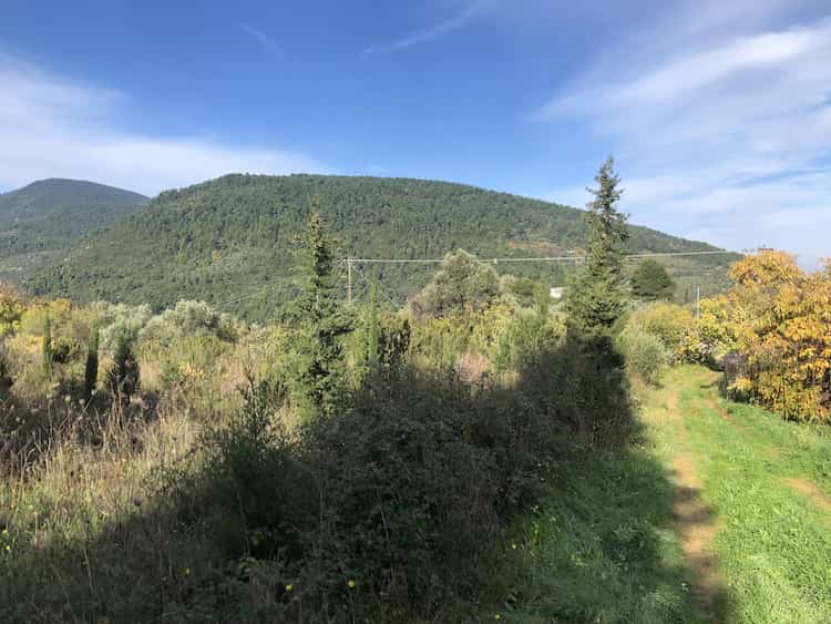 Land Plot with License to Build - Near Skopelos Town_ToposRealEstate_32114_00006