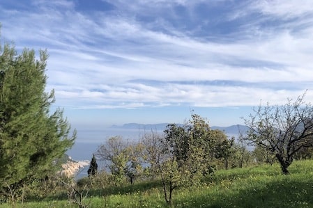 Land Plot with License to Build - Near Skopelos Town - Panoramic Views