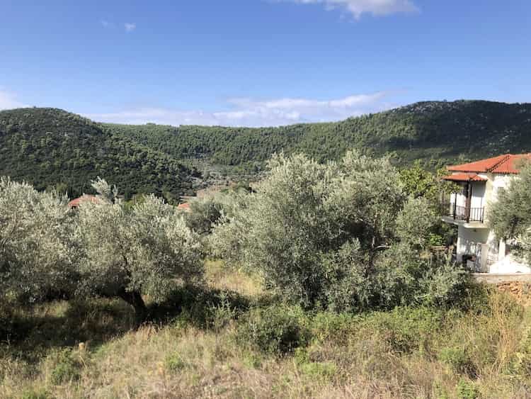Olive Grove for Sale close to Skopelos Town_ToposRealEstate_32121_00004