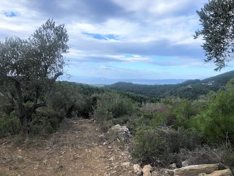 Large Land Plot with Great Views_ToposRealEstate_32127_00005