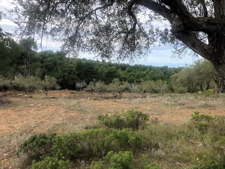 Large Land Plot with Great Views_ToposRealEstate_32127_00006
