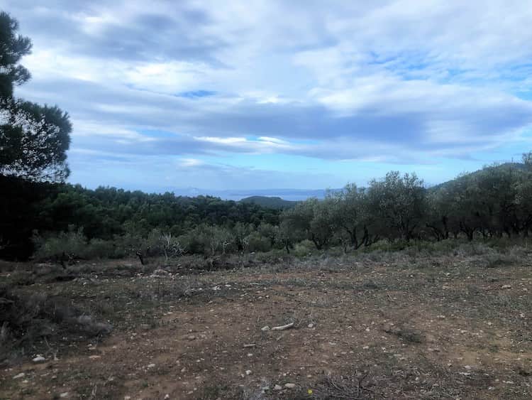 Large Land Plot with Great Views_ToposRealEstate_32127_00008