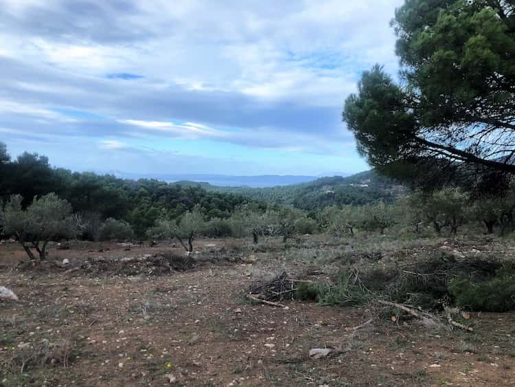 Large Land Plot with Great Views_ToposRealEstate_32127_00010