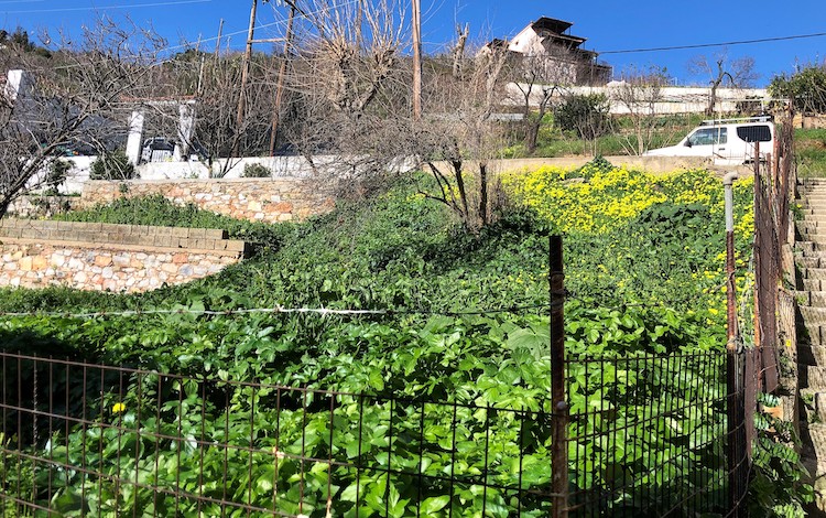Land for Sale with Views over Skopelos Town_ToposRealEstate_32130_00008
